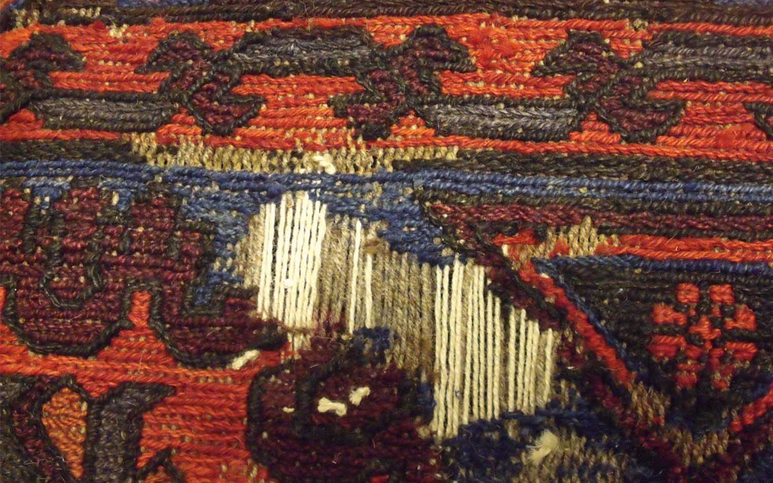 photo1686923169 (12)