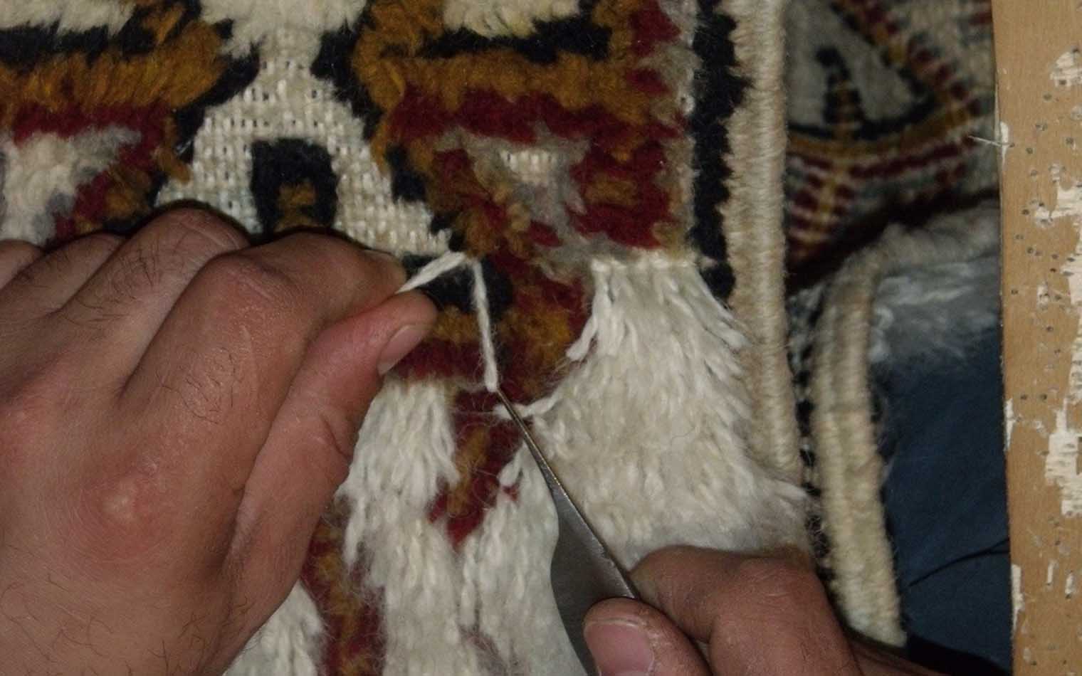 photo1686923169 (16)